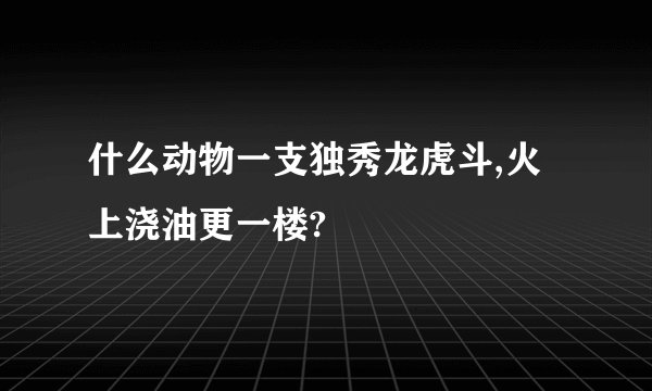 什么动物一支独秀龙虎斗,火上浇油更一楼?