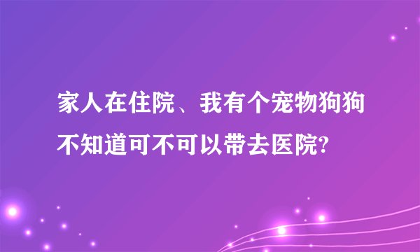 家人在住院、我有个宠物狗狗不知道可不可以带去医院?