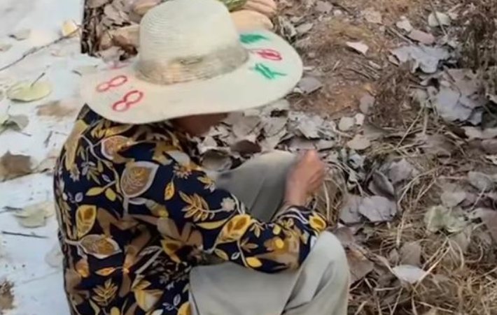 可恶！女子千余亩南瓜频遭附近老人组团偷窃，他们为何专挑这家下手？