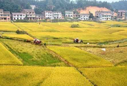 1平方米等于多少公顷