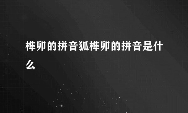 榫卯的拼音狐榫卯的拼音是什么