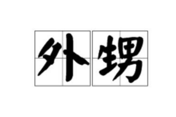 姐姐的儿子叫什么