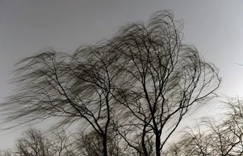 重庆多地刮起狂风，小伙被大风吹起离地近三米，11级大风到底有多强？