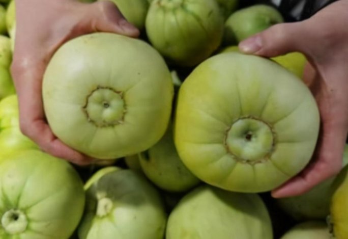 脐的意思和读音