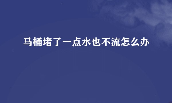 马桶堵了一点水也不流怎么办