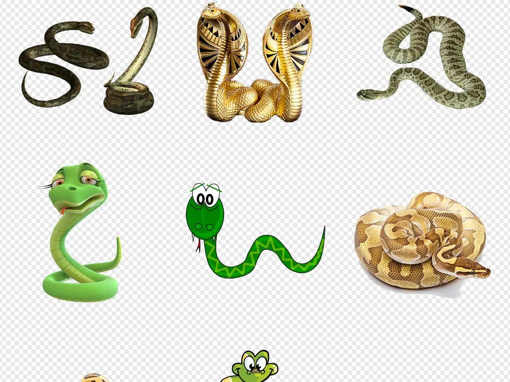 贵州一小区楼道惊现两蛇撕咬,生活区域遇到蛇该如何驱赶?