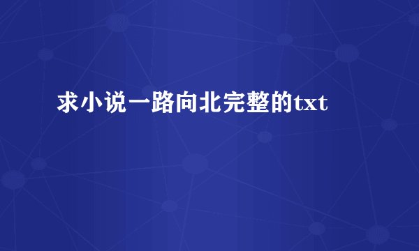 求小说一路向北完整的txt