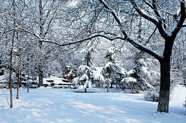 以下哪句古诗描写了小雪时节的景象天下下来云母粉绿杨阴里白沙堤