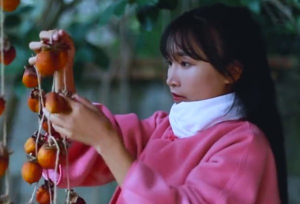 网红李子柒“停更”55天，助理说出了其中原因，原因是什么呢？