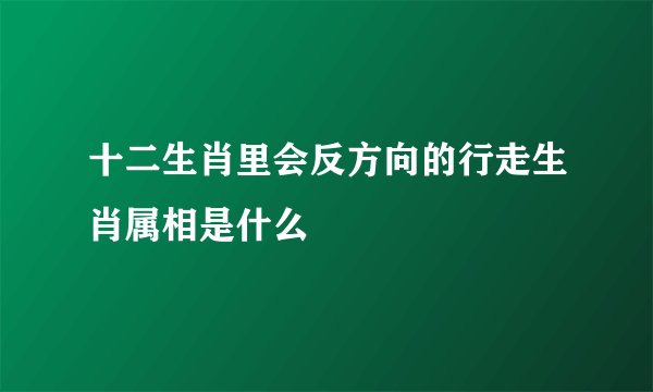 十二生肖里会反方向的行走生肖属相是什么