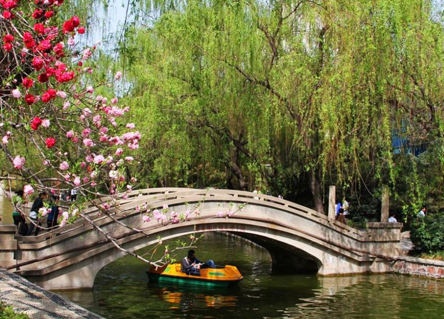 公园的公的笔顺