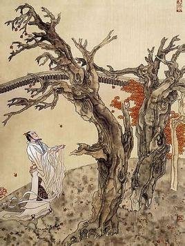 自挂东南枝的相关笑话