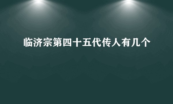 临济宗第四十五代传人有几个