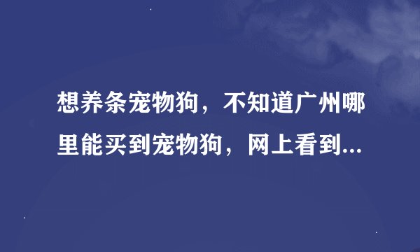 想养条宠物狗，不知道广州哪里能买到宠物狗，网上看到很多卖狗的，会不会被骗啊？