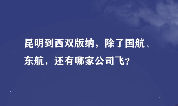 昆明到西双版纳，除了国航、东航，还有哪家公司飞？
