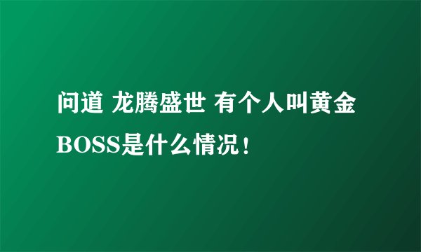 问道 龙腾盛世 有个人叫黄金BOSS是什么情况！