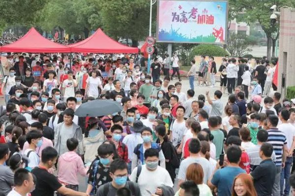 高考投档在哪里查