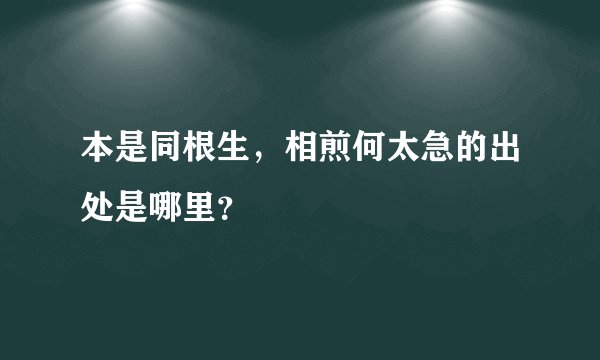 本是同根生，相煎何太急的出处是哪里？