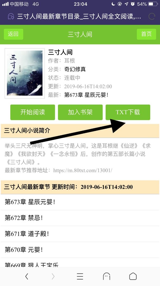 iphone可以直接在手机上下载txt格式的电子书么