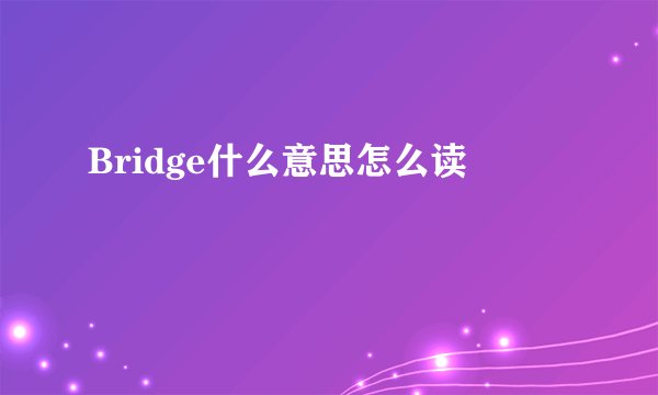 Bridge什么意思怎么读
