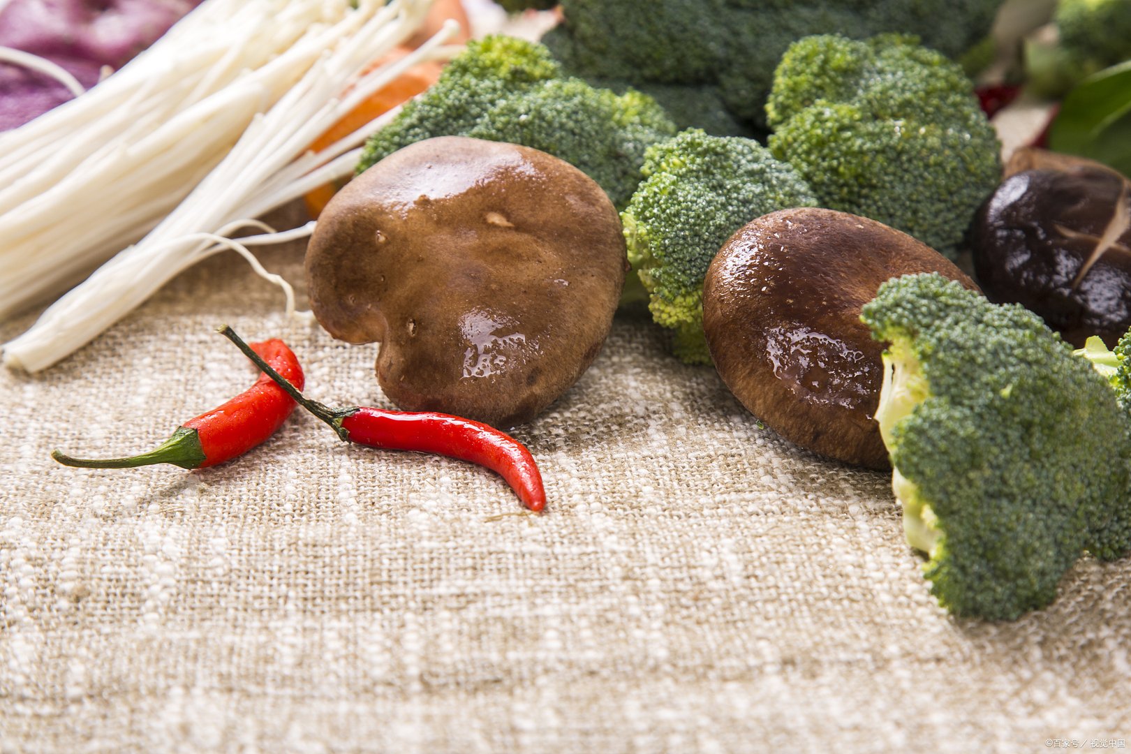 上海市已抢种蔬菜面积达8万多亩，是否能解决当下的困局？