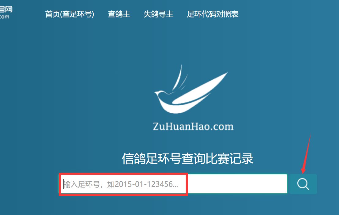 如何查询信鸽的足环号码？