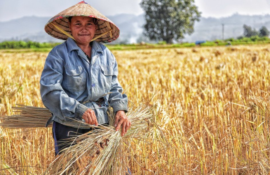 干活的活怎么写