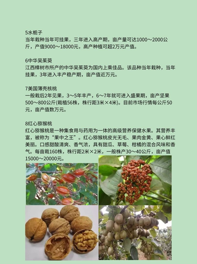 10个农业致富项目