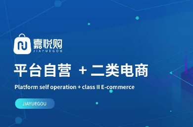 二类电商是什么意思