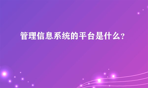 管理信息系统的平台是什么？