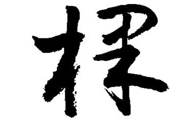 棵字的笔画顺序