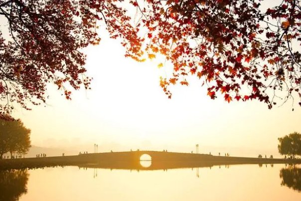 立秋时节,古代有梧桐报秋的习俗