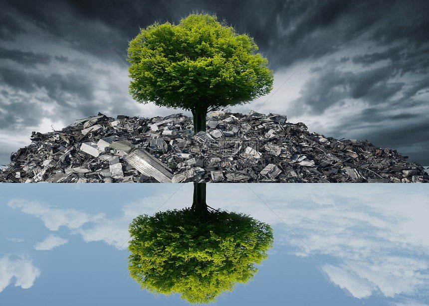 大树的现代诗歌？