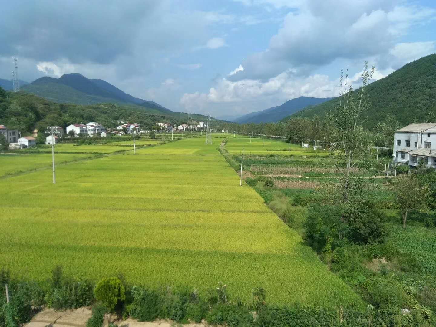 为什么最近大家都在屯粮