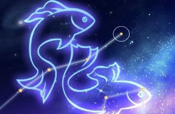 2月19日是什么星座