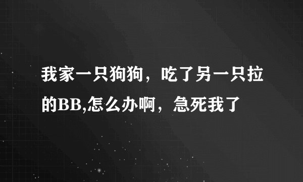 我家一只狗狗，吃了另一只拉的BB,怎么办啊，急死我了