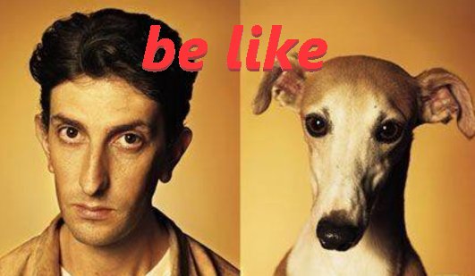 be like 和like 区别