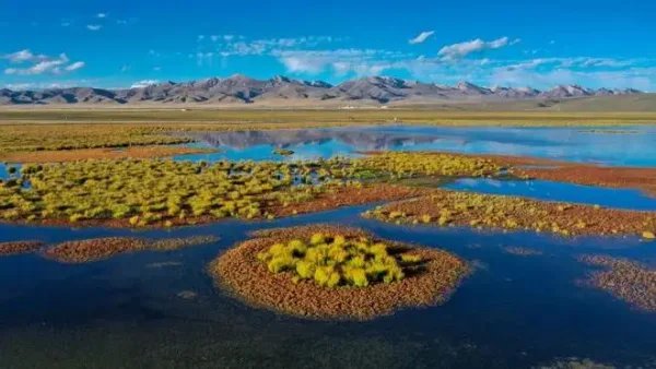 卫星视角感受中国湿地保护成效,湿地保护有哪些必要性?