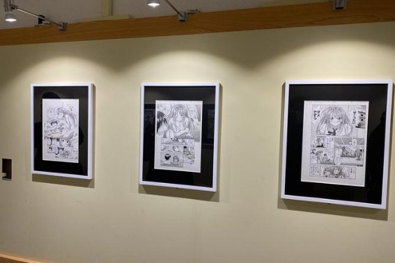 proumb是什么意思？