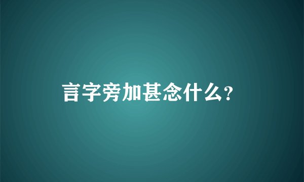 言字旁加甚念什么？
