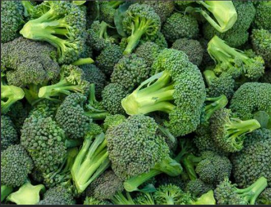broccoli怎么读