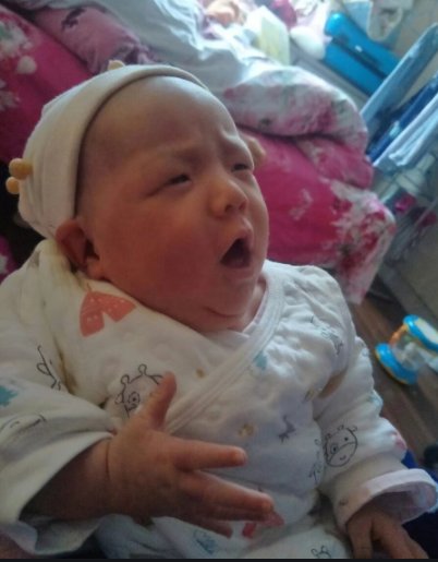 印度弃婴在小狗的依偎中存活，它们是如何照顾人类幼崽的