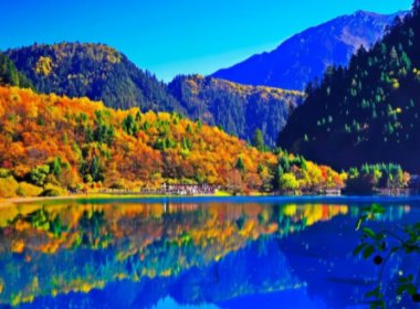 绵阳通报“4天参团游没看到九寨沟大门”,是否该严惩涉事酒店?