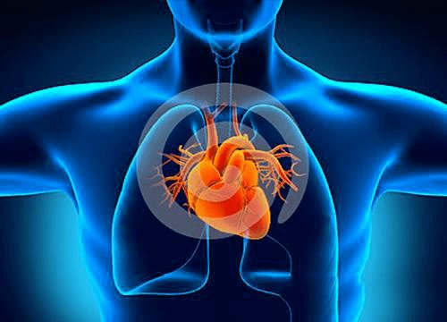 研究表明一半以上的猝死者为中青年,导致中青年猝死率高的原因有哪些?