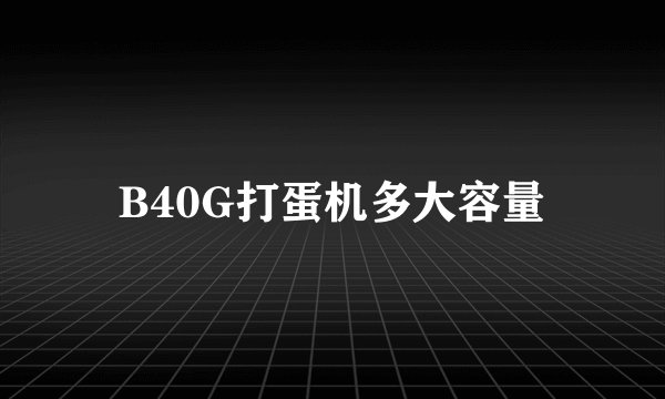 B40G打蛋机多大容量