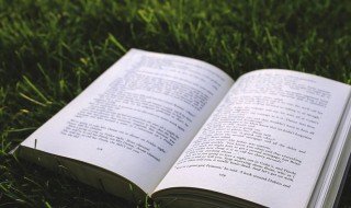 曝晒的读音 曝晒的读音及解释