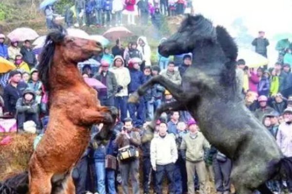 三月三的风俗以及特点