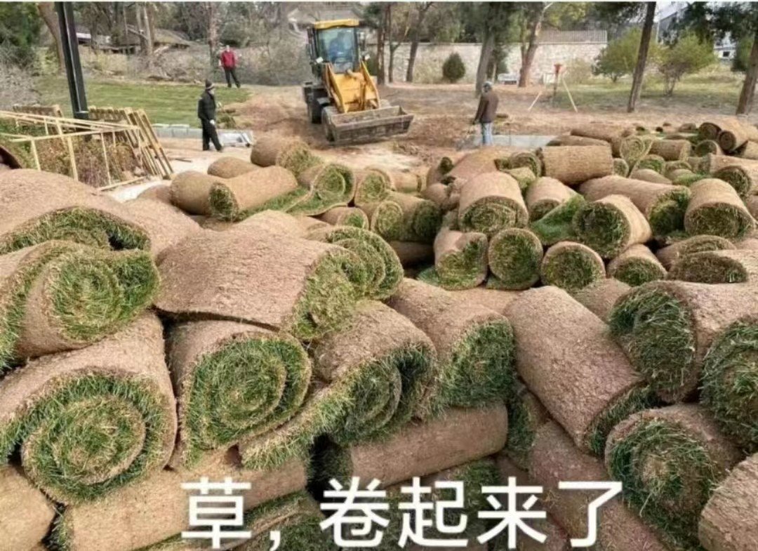 卷的组词是什么