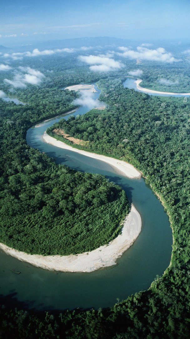 我犯了一个错误,师父会惩罚我,我怎么办?