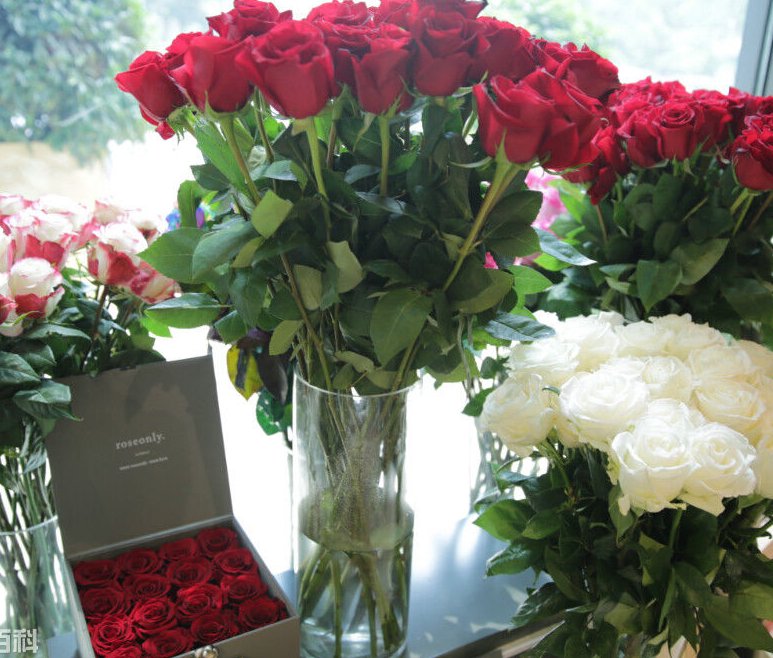 6朵玫瑰代表什么意思?